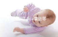 【冷知識】5ca囊胚等級低,質量并不能代表成功率