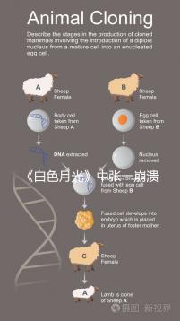 《白色月光》中張一崩潰在孩子面前哭，你認為該不該？