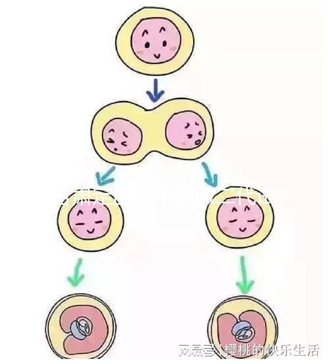 甘肅定西能不能做二代試管嬰兒，成功率高不高？