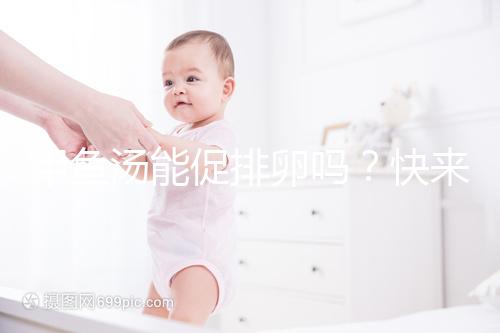 甲魚湯能促排卵嗎？快來看看4大促卵泡發育的做法