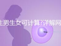 生男生女可計算?詳解網(wǎng)傳5大胎兒性別計算公式