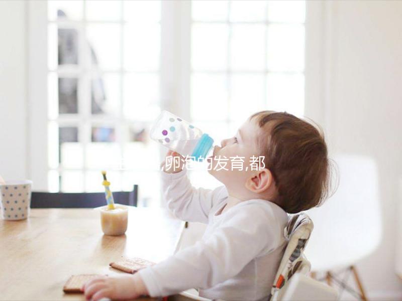 生殖器,卵泡的發育,都是雌二醇(E2)對女性的意義一部分