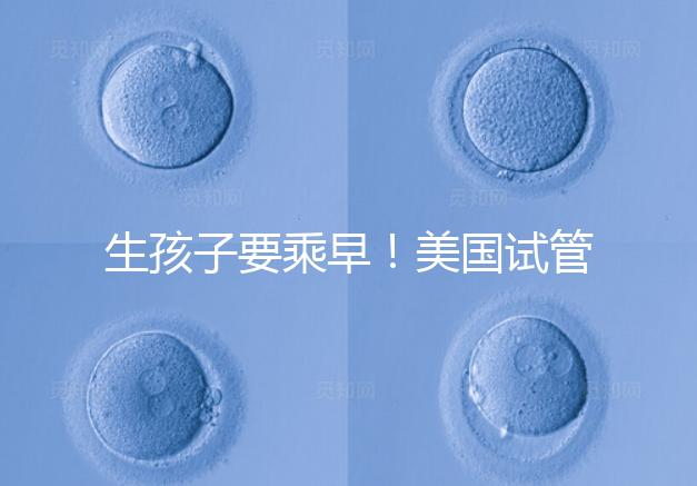 生孩子要乘早！美國試管嬰兒成功率再高也非“萬能藥”