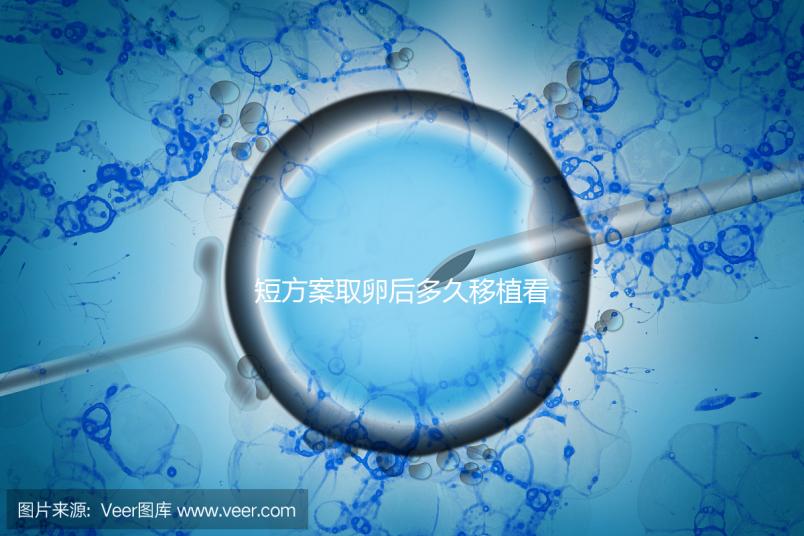 短方案取卵后多久移植看時機，關于試管你要知道一些事