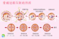 痛經(jīng)貼多少錢一盒?不同品牌痛經(jīng)貼價(jià)格盤點(diǎn)