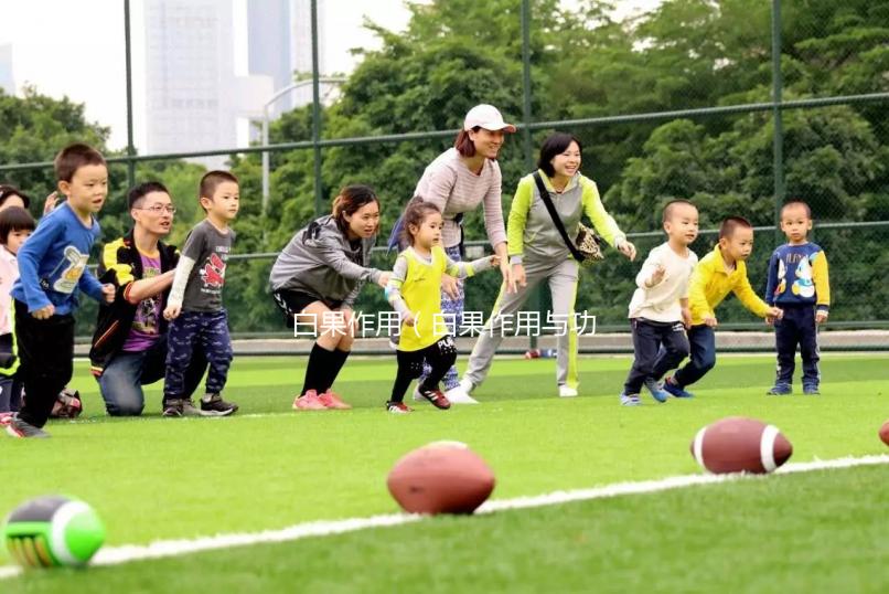 白果作用(白果作用與功效)