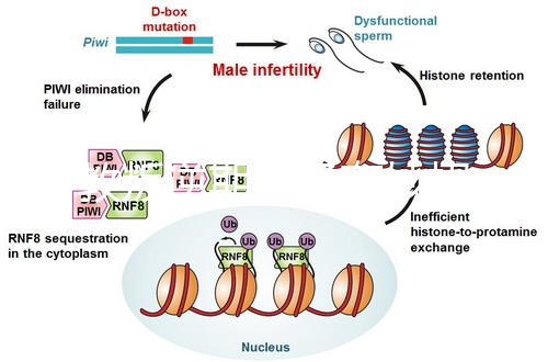 管教叛逆期孩子有妙招，這四個方法遠(yuǎn)勝封閉式管理