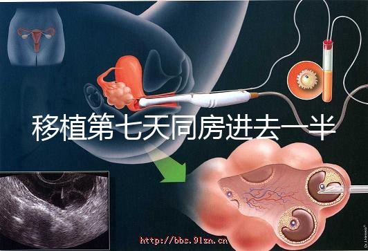 移植第七天同房進(jìn)去一半有無影響戳，沒出血問題就不大