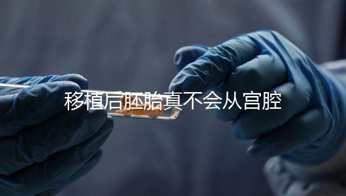 移植后胚胎真不會從宮腔掉出來！原因有這些...