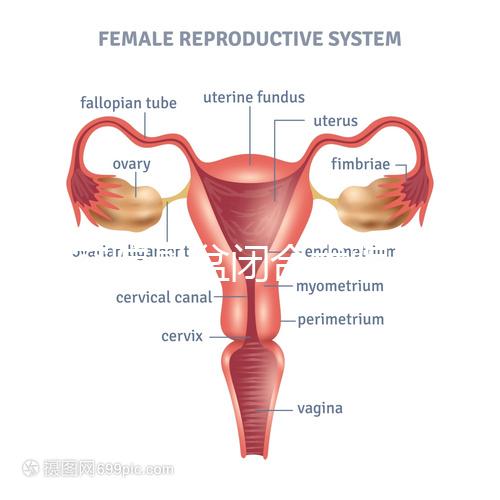 美容院骨盆閉合術(shù)騙局公開,不但沒用還會造成損傷要小心