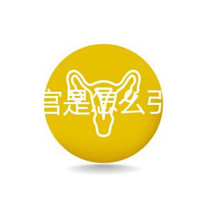 縱隔子宮是怎么引起的？十有八九是這些原因導致