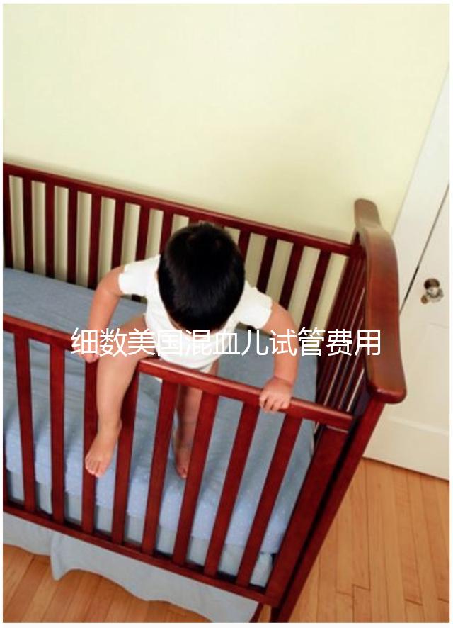 細(xì)數(shù)美國混血兒試管費用,供精供卵都不貴