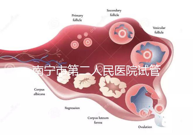 南寧市第二人民醫院試管成功率不低有前提,選對醫生更好孕