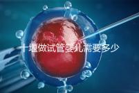 十堰做試管嬰兒需要多少錢?各大醫(yī)院成功率及費(fèi)用在這里