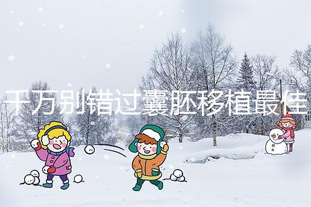 千萬別錯過囊胚移植最佳時間，早上or晚上有講究