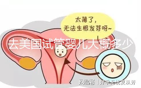 去美國試管嬰兒大概多少錢，省錢技巧有哪些必看