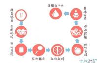 兒童牙膏十大國產產品公布，2024年哪些品牌看這個