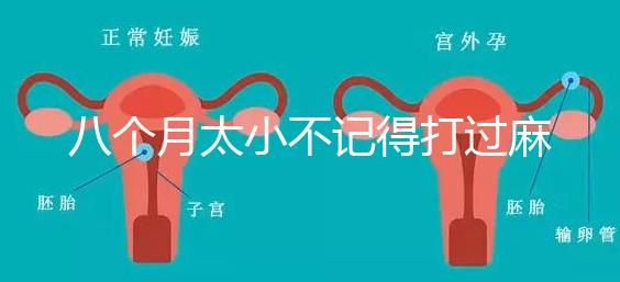 八個月太小不記得打過麻風疫苗看這，2大反應教你辨別