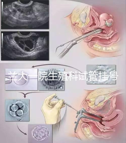 蘭大一院生殖科試管掛號多少錢別還不造，預約攻略來了