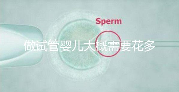 做試管嬰兒大概需要花多少錢，做試管嬰兒需要花多少錢
