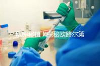 取卵移植！探秘歐路爾第三代試管嬰兒的流程