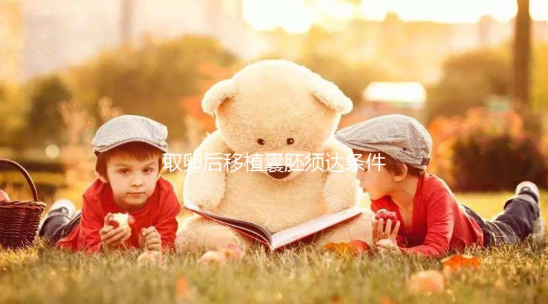 取卵后移植囊胚須達(dá)條件!至少要達(dá)到這3個(gè)標(biāo)準(zhǔn)