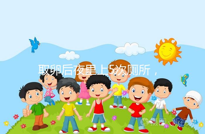 取卵后夜里上5次廁所，這種尿頻的現(xiàn)象正常嗎？