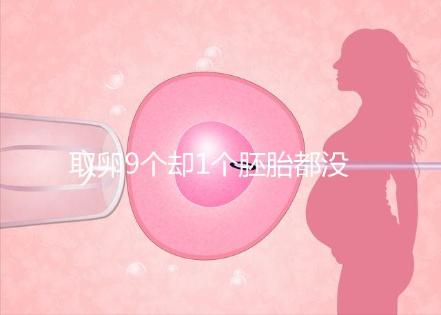 取卵9個卻1個胚胎都沒有,33歲準(zhǔn)媽媽最后如何成功?