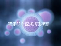 取卵31個配成成功率預(yù)測，鮮胚個數(shù)在這個范圍都有希望