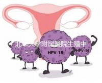 北華大學附屬醫院生殖中心試管怎么樣？2024年助孕成功率參考