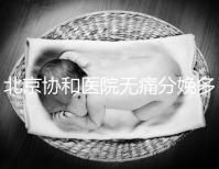 北京協(xié)和醫(yī)院無(wú)痛分娩多少錢(qián),概率高不高、成不成熟全有