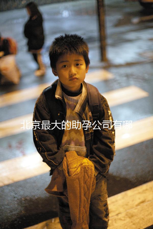 北京最大的助孕公司有哪些，是合法的嗎？