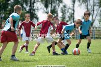 北京試管嬰兒醫(yī)院排名揭曉：價(jià)格合理，流程詳解