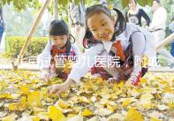 北京試管嬰兒醫院，附成功率、費用