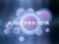 冷凍卵子需要多少錢(qián)?具體費(fèi)用主要分為3大部分