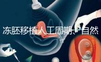 凍胚移植人工周期、自然周期怎么選?哪個(gè)成功率高?