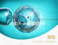 內膜14mm移植成功率不高?好不好著床看完心里有譜