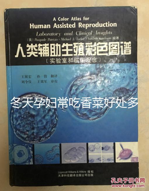 冬天孕婦常吃香菜好處多,搓成丸子味道更佳