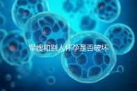 軍嫂和別人懷孕是否破壞了軍婚答案,小心被定罪