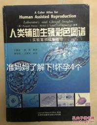 準(zhǔn)媽媽了解下!懷孕4個月掌握正確睡姿助你做好夢