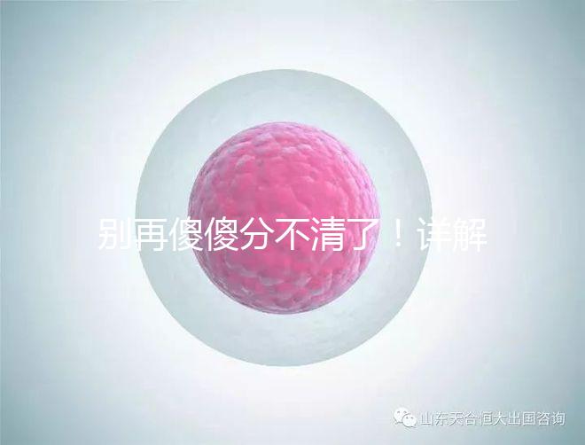 別再傻傻分不清了！詳解美國試管嬰兒和人工授精的區別