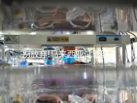 別放棄!馬來西亞試管嬰兒成功案例真不少,滿滿的正能量送給你