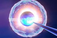 剛剛出爐!2024泰國試管嬰兒醫(yī)院最新排行榜