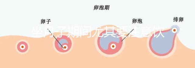 坐月子期間尤其要注意飲食,禁止吃的12種蔬菜有這些