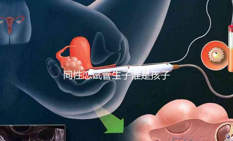 同性戀試管生子誰是孩子爸惹爭議！血緣關系竟成迷