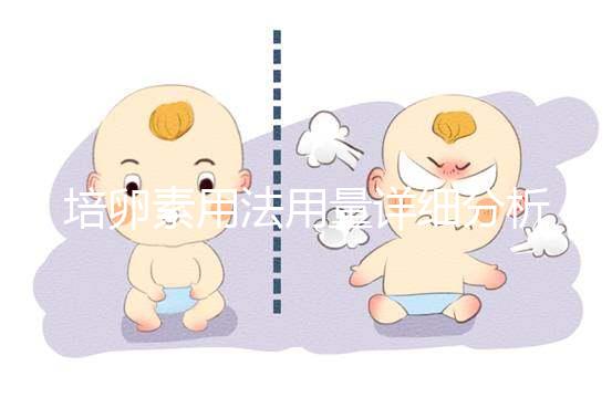 培卵素用法用量詳細(xì)分析,不同情況服用時間有差異