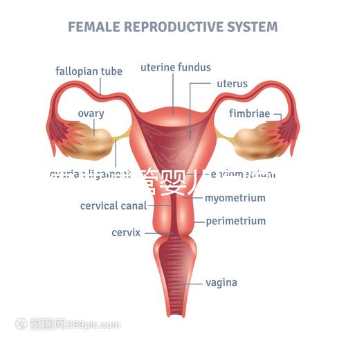 國內(nèi)做試管嬰兒醫(yī)院有哪些?附全國十大試管醫(yī)院排名