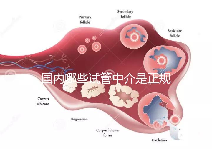 國內(nèi)哪些試管中介是正規(guī)的看過來,可不止北京百匯這一家
