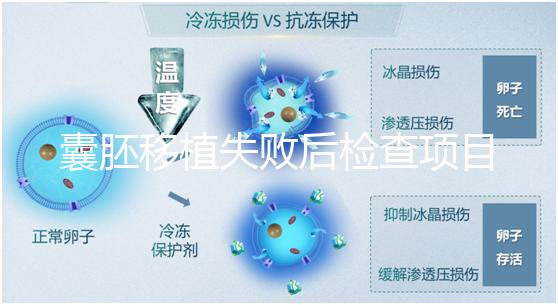 囊胚移植失敗后檢查項目，查免疫、內(nèi)分泌必不可少