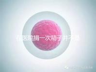 在醫院捐一次精子并不是白捐，補償多少錢這里告訴你